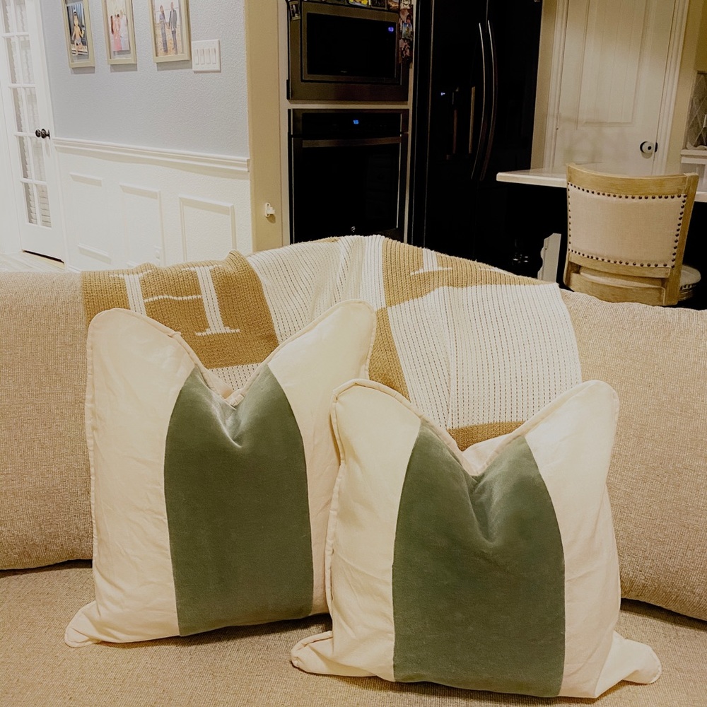 Ballard Designs Olive Green Panel Velvet Cover